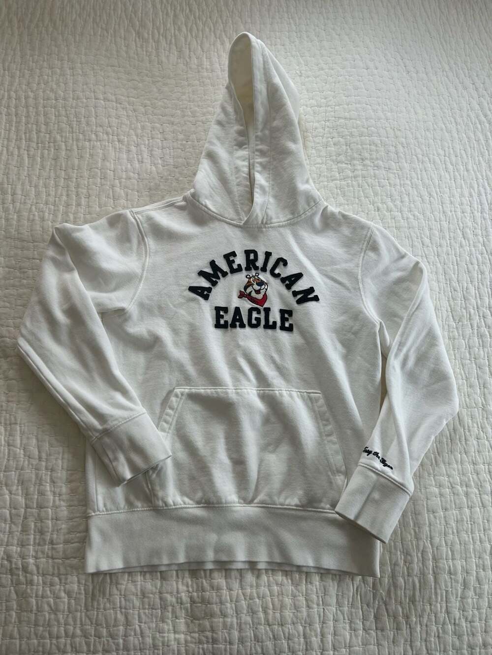 American Eagle x Kellogg's Tony the Tiger Graphic Logo Hoodie Size S (Unisex)